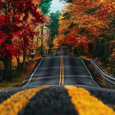 新利luck备用网址