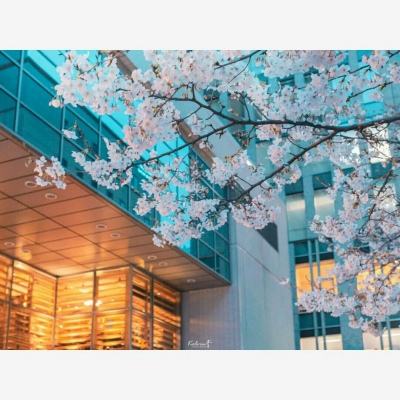 火狐体育APP体育手机app下载